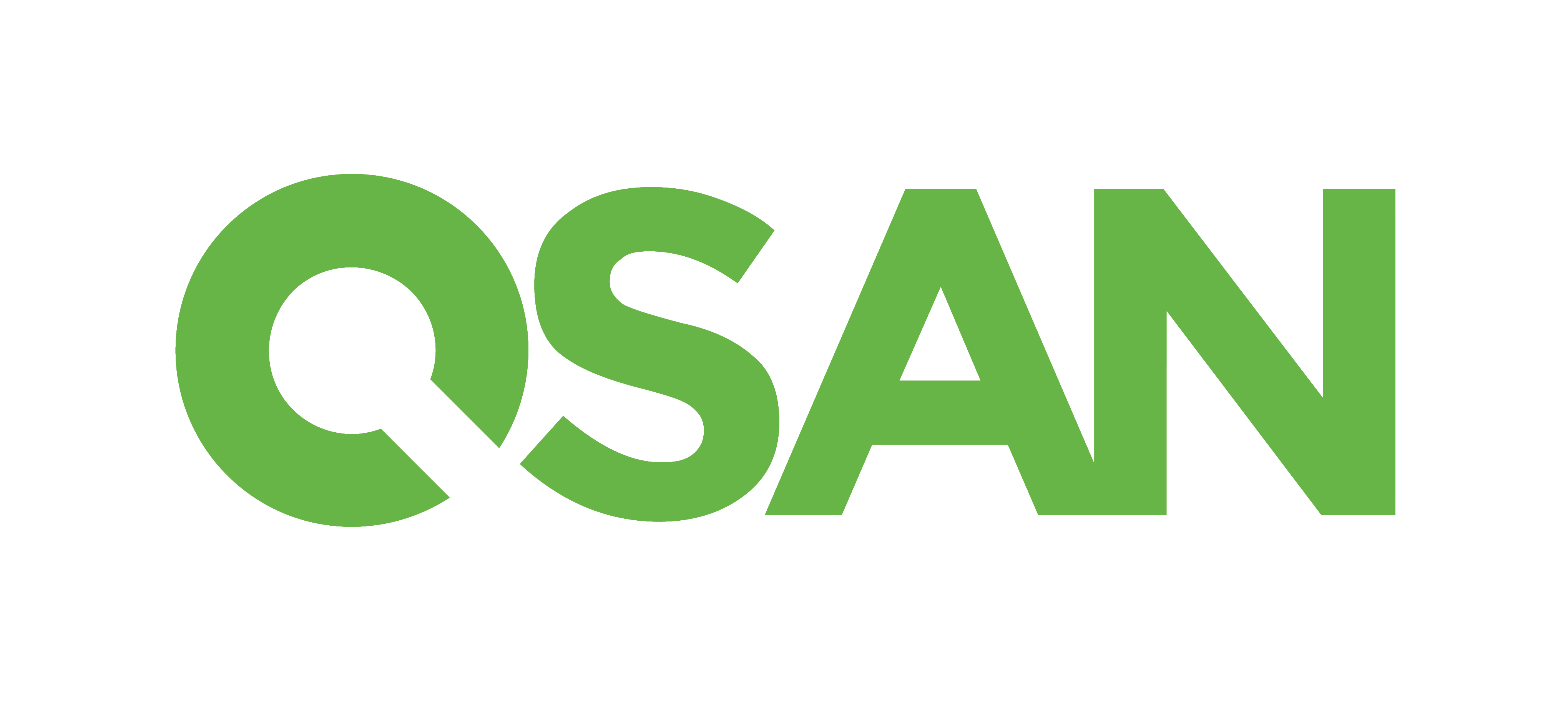 Лого QSAN