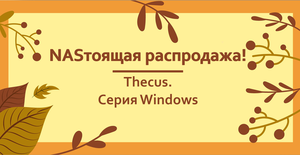 NASтоящая распродажа: Thecus. Серия Windows